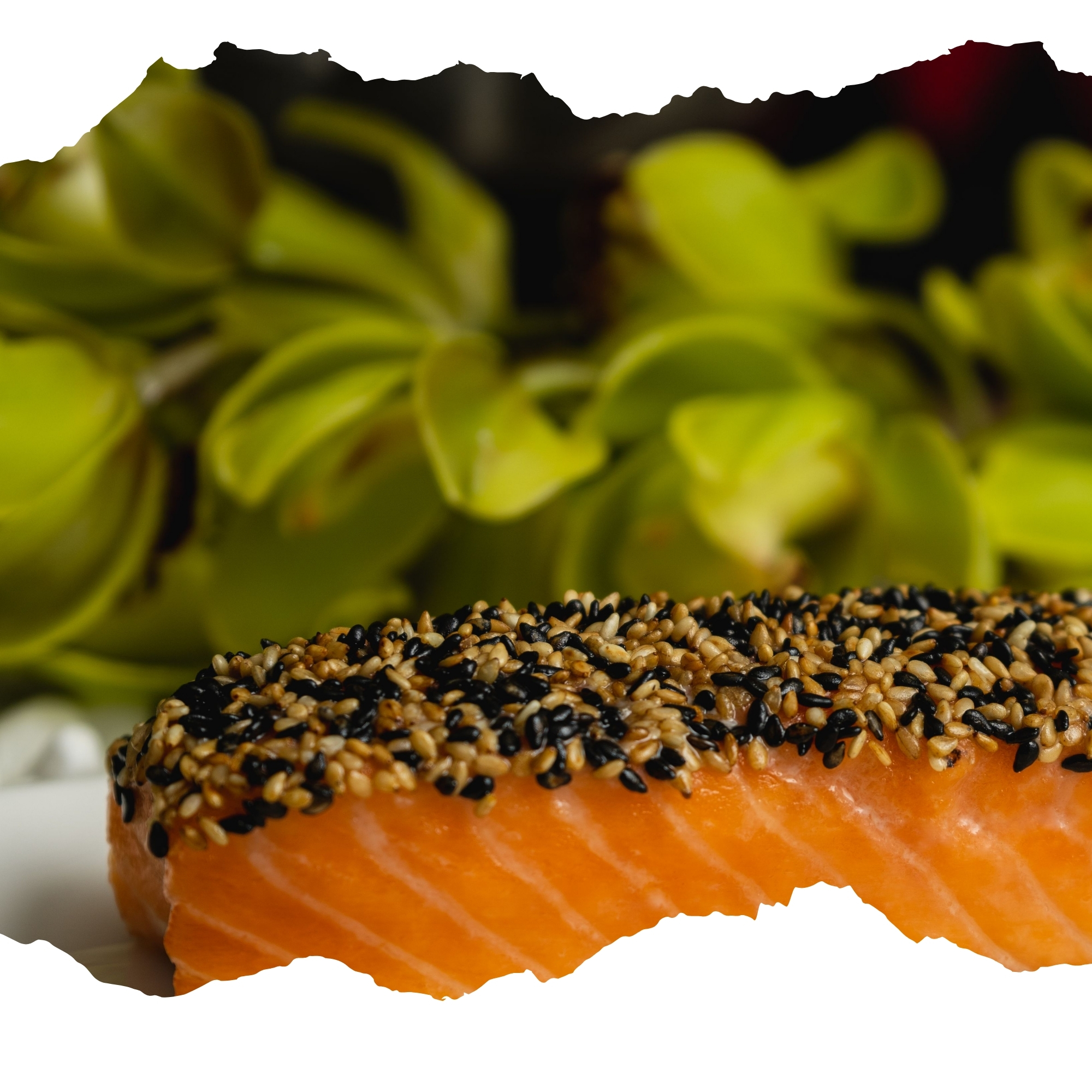 Salmon en costra de ajonjolí